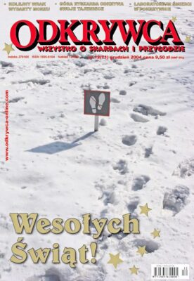12 (71) GRUDZIEŃ 2004